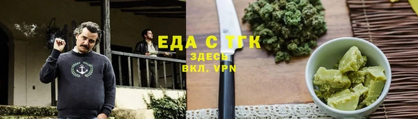 шишки Абаза