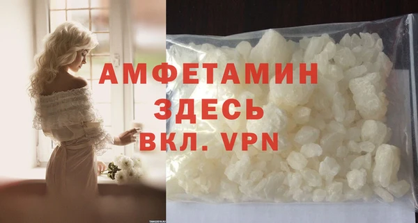 шишки Абаза
