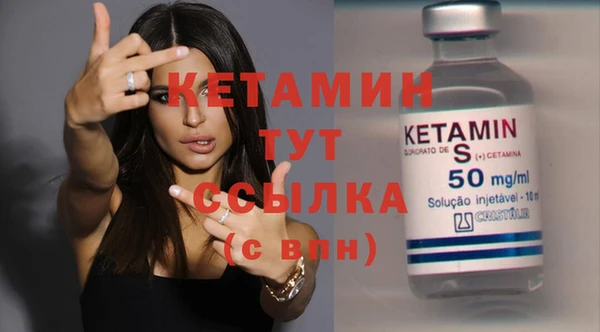 шишки Абаза