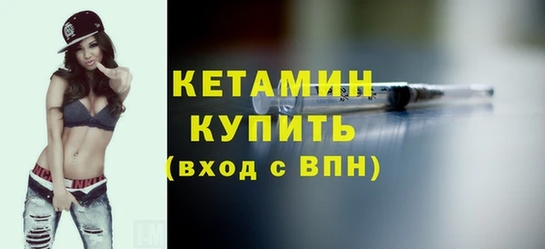 шишки Абаза