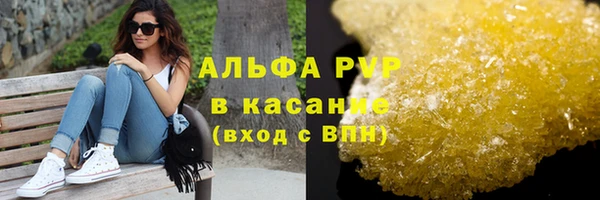 шишки Абаза