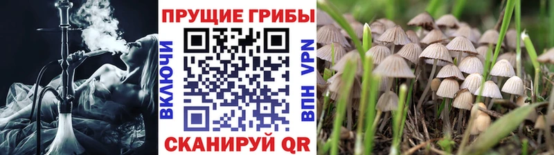 ОМГ ОМГ ссылки  продажа наркотиков  Собинка  Псилоцибиновые грибы MAGIC MUSHROOMS 