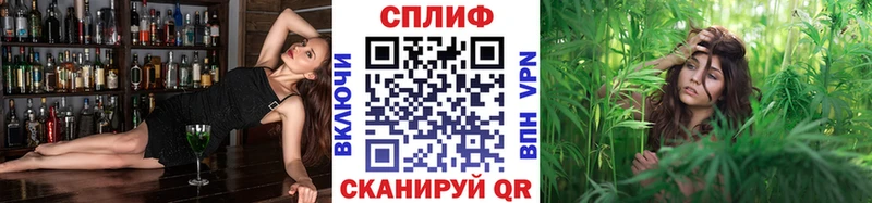 где продают наркотики  blacksprut зеркало  Марихуана план  Собинка 